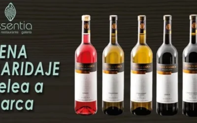 Cena maridaje con Vinos Delea a Marca – Restaurante Essentia en Aracena