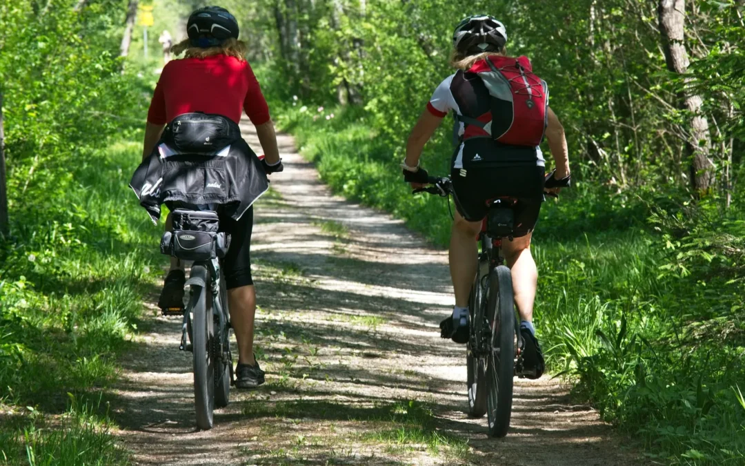 Menú degustación y ruta en bici
