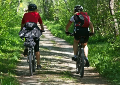 Menú degustación y ruta en bici